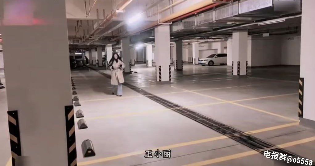 欧美青年服装品牌,メイリン モデルコレクション メ,观看免费无删减完整版